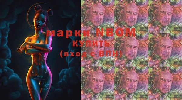 бошки Аркадак