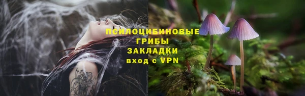 бутират Арсеньев