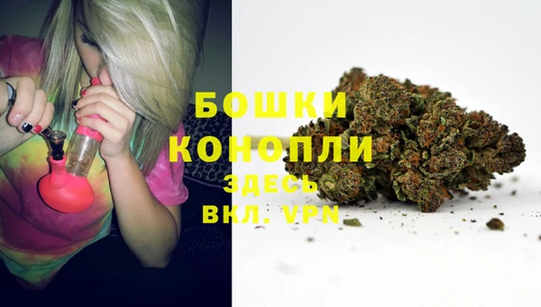 бошки Аркадак