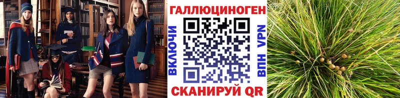 Псилоцибиновые грибы GOLDEN TEACHER  Нязепетровск 